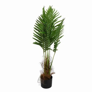 90cm 3FT LED Lighted Palm Tree Solar Powered Artificial Lighted Palm Tree - Picture 1 of 12