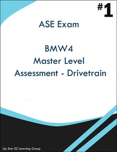 ACE BMW 4 Master Level Assessment - Drive Train - Bild 1 von 1