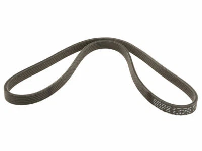 Cinturón primario multi costilla para Audi S4 2004-2009 67518QF 2005 2006 2007 2008 Foto 1 de 2