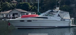 1990 Sea Ray 300 twin mercruisers live aboard party boat! Needs some tidying - Picture 1 of 24
