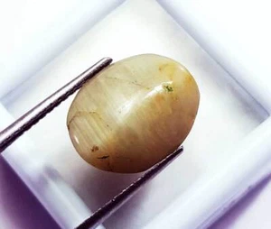 6.35 Ct Oval Shape 100% Natural Cat's Eye Loose Gemstone Certified - Picture 1 of 6