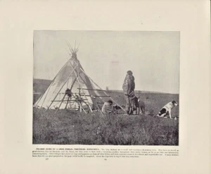 1893 Cree Indian Wigwam Prairie Dogs Minnesota Vintage J W Buel Antique Print - Picture 1 of 1