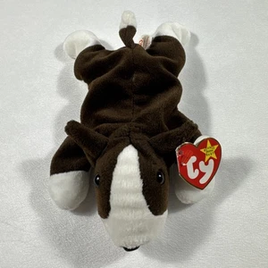 Ty Beanie Baby Tank The Brown White Bull Terrier Dog Plush Toy 1997 - Picture 1 of 7