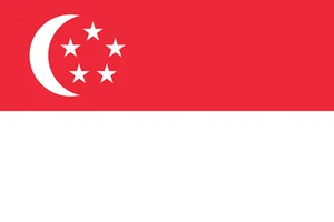Singapore eSIM- Fast QR Code Activation | 3GB 30 Days | 4G Data Plan - Picture 1 of 1