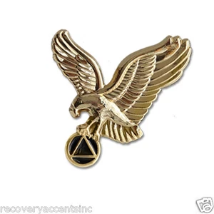 AA Gold Adler Anstecknadel 1" - Bild 1 von 2