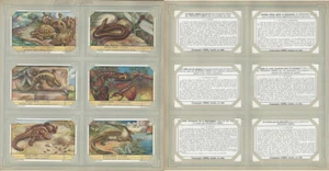 Liebig, Satz 6 Karten, F1482, 1949, Kuriose Reptilien, Schildkröte, Echse, Schlange - Bild 1 von 1
