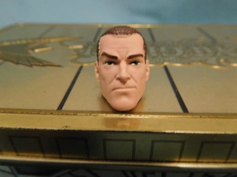 Norman Osborn Head ~ Hasbro Marvel Legends  Green Goblin Cover