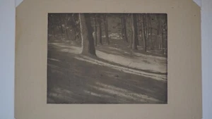 Original ALVIN LANGDON COBURN Photogravure “Winter Shadows" 1903 Camera Work III - Picture 1 of 11
