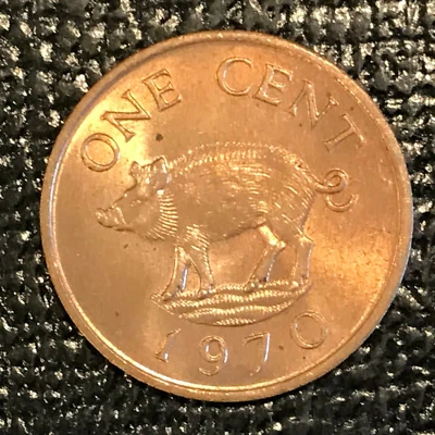 SOME TONING HIGH GRADE BU 1970 BERMUDA WILD BOAR 1 CENT COIN-FEB123 - Image 1 of 2