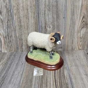Vintage Border Fine Arts 1994 Swaledale Ram Figur - Bild 1 von 7