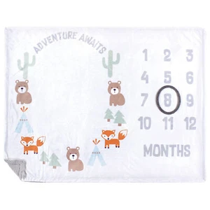 Hudson Baby Plush Holiday and Milestone Blanket, Adventure Awaits, One Size - Picture 1 of 1