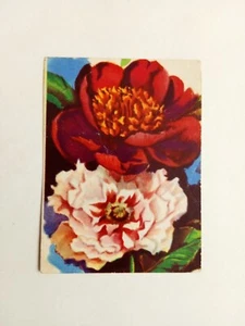 FIGURINA FIORI DI TUTTO IL MONDO LAMPO 1956 n 194 DA RECUPERO - Foto 1 di 2