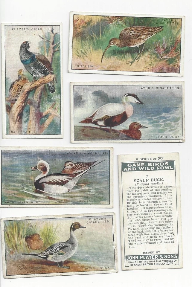 Complete set 50 John Player Cigarette cards  Game Birds & Wild Fowl - Image 1 of 1
