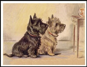 CAIRN TERRIER DOGS & GOLDFISH LOVELY VINTAGE STYLE A4 SIZE DOG ART PRINT POSTER - Foto 1 di 1