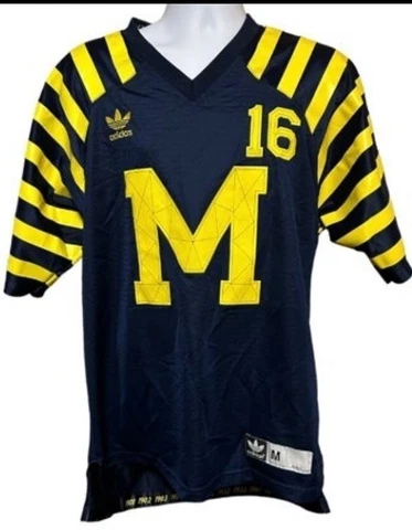 Michigan Football Jersey Under The Lights Denard Robinson #16 Sz M Cover