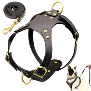 Leather Dog Harness and Leash set Heavy Duty Adjustable Vest for French Bulldog - Picture 1 of 13