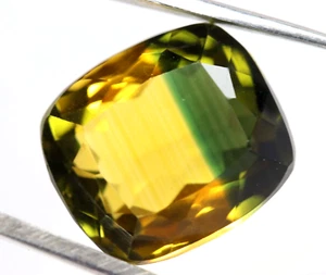 Certified Natural Bi Color Tourmaline Cushion Shape Loose Gemstone Cut 9.65 Ct - Picture 1 of 7