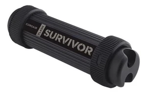 Corsair CMFSS3B-256GB Survivor Stealth. 256 GB - Picture 1 of 1
