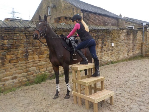 equestrian 3 Step mounting block 90cm High