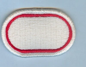 ARMY BACKGROUND OVAL - 39th ENGINEER BATTALION - Picture 1 of 1