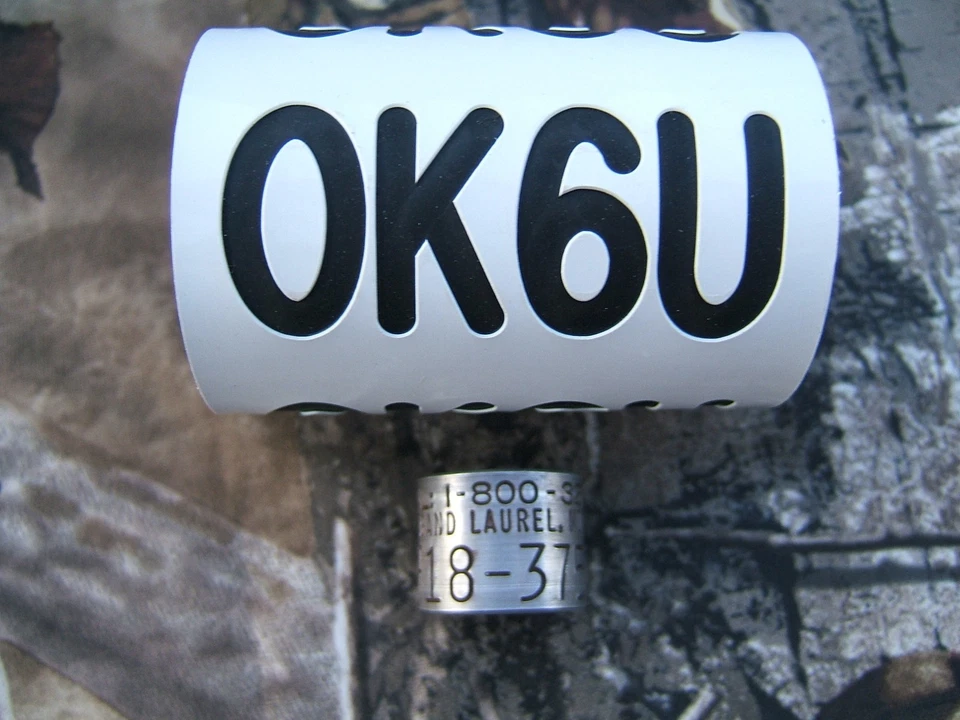 Cuello de ganso, banda de ganso, banda de pato, aviso, llamada, banda de pájaro, señuelo, #431 Foto 1 de 1