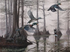 Arkansas Ducks Unlimited 2016 patrocinador impreso firmado AP Cypress Bayou Neighbors - Imagen 1 de 4