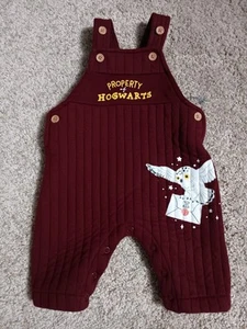 Mono Harry Potter Hedwig Borgoña Rojo Estampado Gráfico Sin Mangas Unisex 0-3m - Imagen 1 de 9