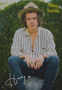 HARRY STYLES - Biglietto Autografo - Autografo Autografo Fan Collezione Clippings NUOVO - Foto 1 di 1