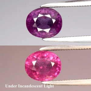 💎 1.71ct 6.8x5.7mm Oval Natural Color Change Garnet - Unheated, Tanzania Gem - Picture 1 of 6