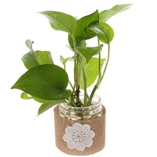 6pcs Jars Boho Rustic Wedding Glass Bottle Decor Lace Burlap Hessian Decor