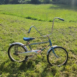 Western Flyer Buzz Bike Project 20" Sears Murray Muscle Bike Bicycle ELIMINATOR - Picture 1 of 7