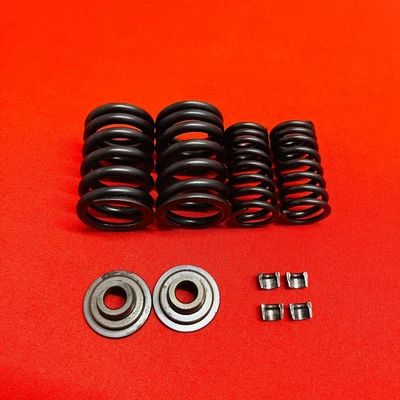 DRZ125 VÁLVULAS RESORTES GUARDIANES EN EX GENUINO OEM SUZUKI DR-Z DRZ 125 L (2003-2007) Foto 1 de 4