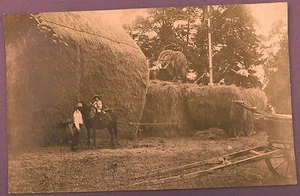 Postal temprana original - Haymaking, apilamiento de heno usando sistema de transporte - Imagen 1 de 2