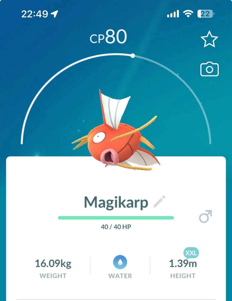 Magikarp XXL SIZE Pokestop Showcase Pokemon Gen1 Go Pokémon Gyarados Kanto - Image 1 of 1