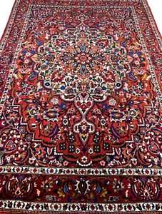 6'11"x9'8" Hand-Knotted 100% Wool Pile Bakhtiarie Carpet - Area Rug - Picture 1 of 23