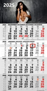 Sexy 4-Monatskalender Kompakt 2025 Bürokalender großer Erotik Wandkalender - Bild 1 von 2