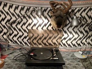 Dual CS 491 mit Ortofon System - Bild 1 von 10