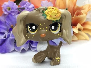 Mini Pet Shop Cocker Spaniel Dog, W/flowers ooak Custom Hand Painted  - Picture 1 of 3