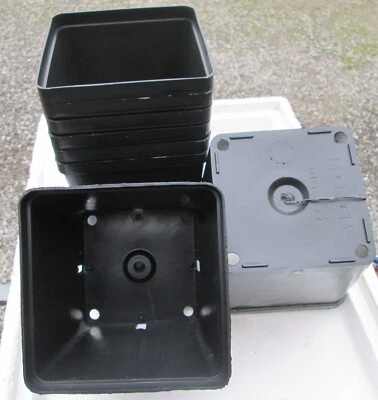 5x VASO PLASTICA QUADRATO cm 14 L 2,4 - 14x14x14 ITALIA ROBUSTISSIMO - Image 1 of 4