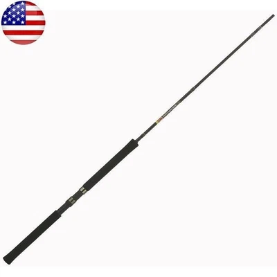 10ft Lightweight Graphite Jig Fishing Rod 2pc Dynaflow Guides Crappie Detector - Image 1 of 4