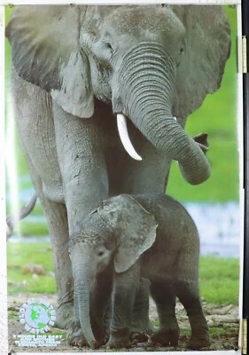 African Elephant and baby in Kenya 24.25"X36.50" NOS (b196) - Image 1 of 3