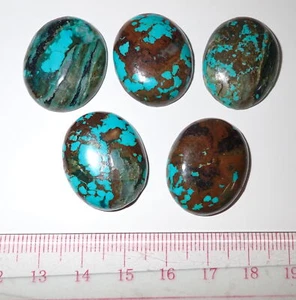 Turquoise Stone Oval 25x20 mm Flat Cabochon 105 Carat 5 pieces 21 gram - Picture 1 of 8