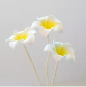 5pcs Flower Rattan Reed Diffuser Non-fire Replacement Diffuser Sticks Fragrance - Picture 1 of 6