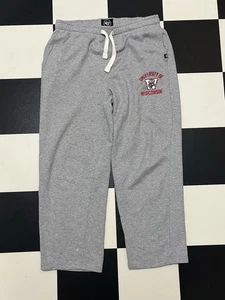 Pantalones deportivos holgados University of Wisconsin Badgers marca ’47 para hombre talla grande gris - Imagen 1 de 6