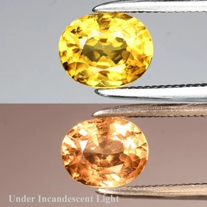 💎 0.99ct 6.5x5mm Oval Natural Color Change Garnet - Unheated, Africa Gemstone - Picture 1 of 6