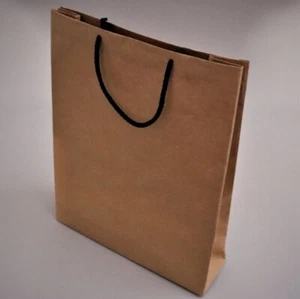 Kraft Paper Bag With Black Cord For Party Gift Items (10 x 14) - Large - Picture 1 of 3