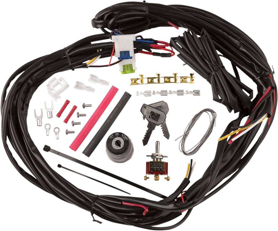 CYCLE VISIONS Custom Wire Harness CV-4869 - Image 1 of 1