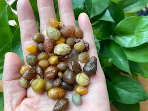 50g Beautiful Natural agate colorful GoBi agate veins agate collection - Imagen 1 de 15