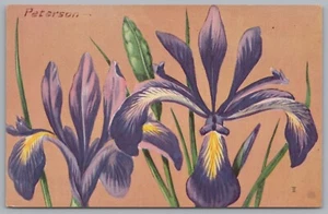 c1957 National Wild Life Peterson Narrow Blue Flag Iris Prismatica Vtg Postcard - Picture 1 of 2