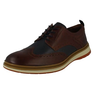 Uomo Clarks Bicolore Scarpe Brogue Chantry Ali - Picture 1 of 10